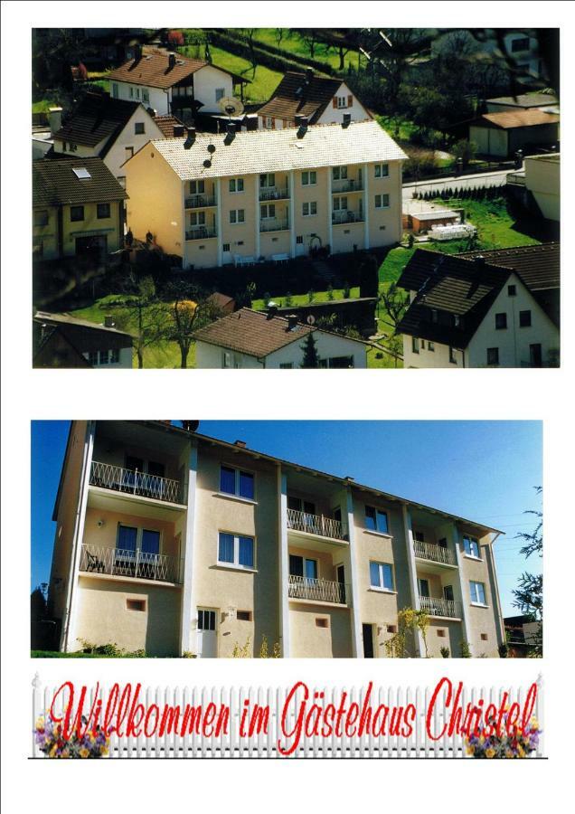 Ferienwohnung Christel Hirschhorn-Neckar 외부 사진